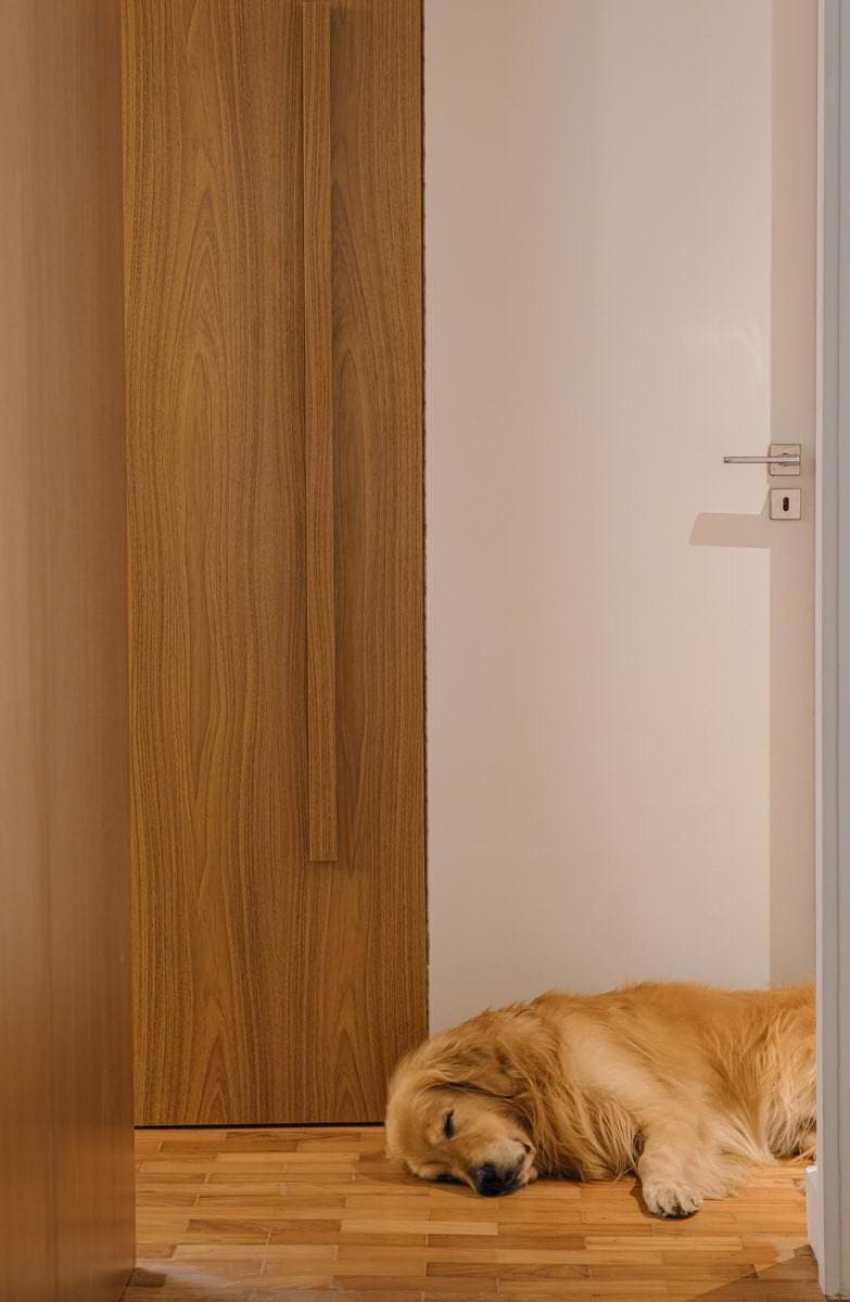 Apartamento Ipanema – Leilane Dias, imagem 9