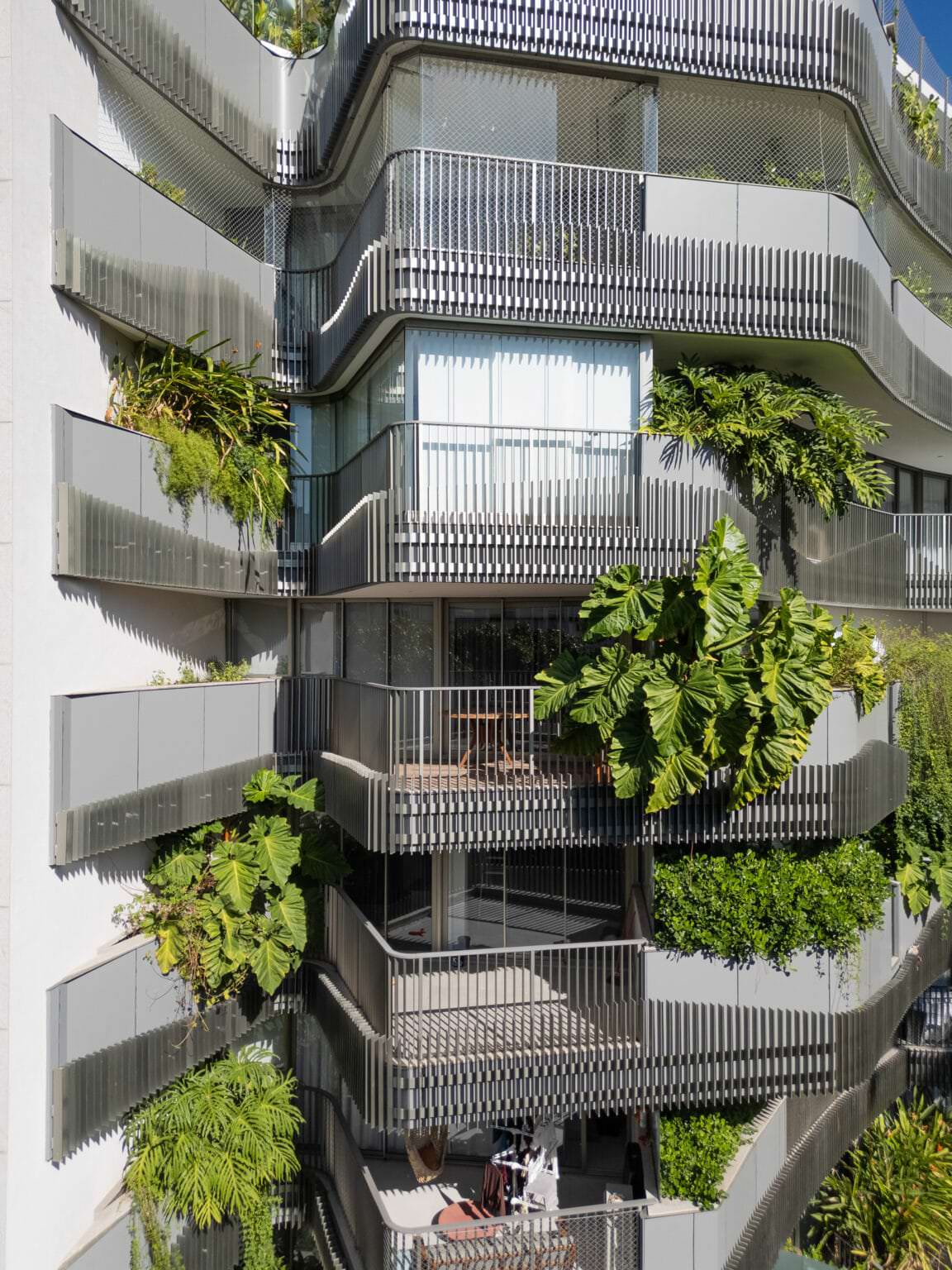 BRISA – Sergio Conde Caldas Arquitetura, imagem 6