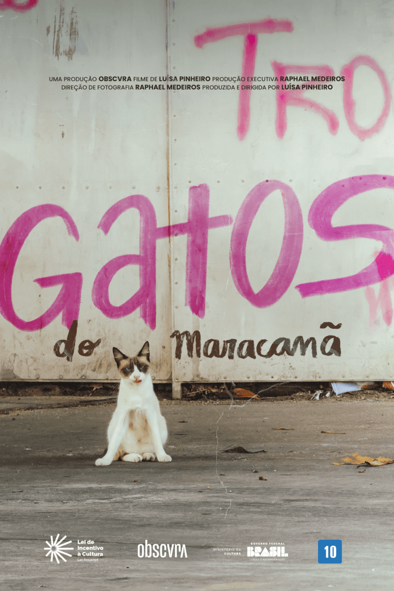 Cartaz - Gatos do Maracanã