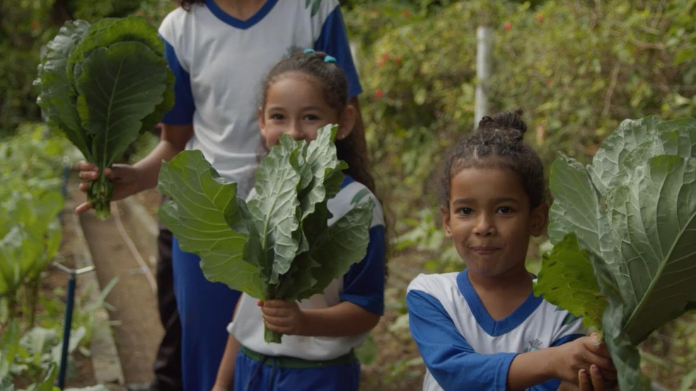 Crianças mostram folhas colhidas em uma horta escolar